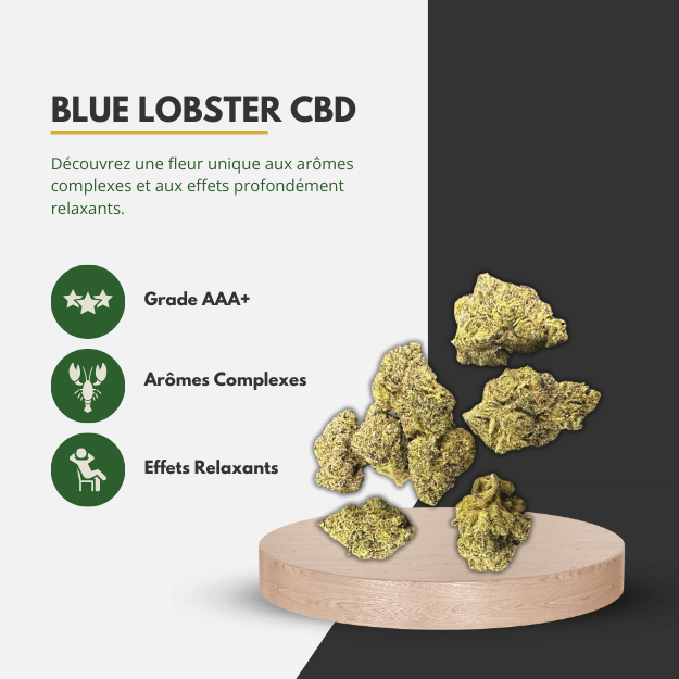 🦞 Blue Lobster CBD