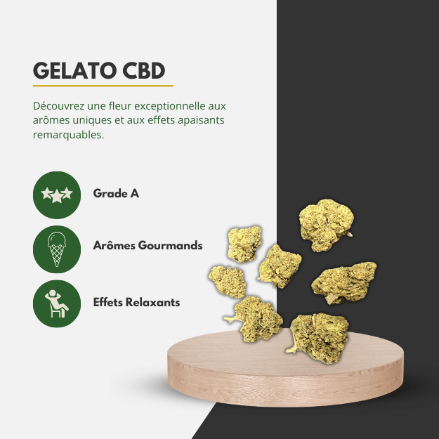 🍨 Gelato CBD