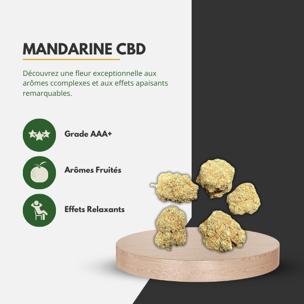 🍊 Mandarine CBD