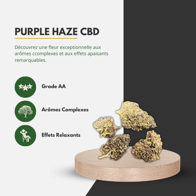 😈 Purple Haze CBD